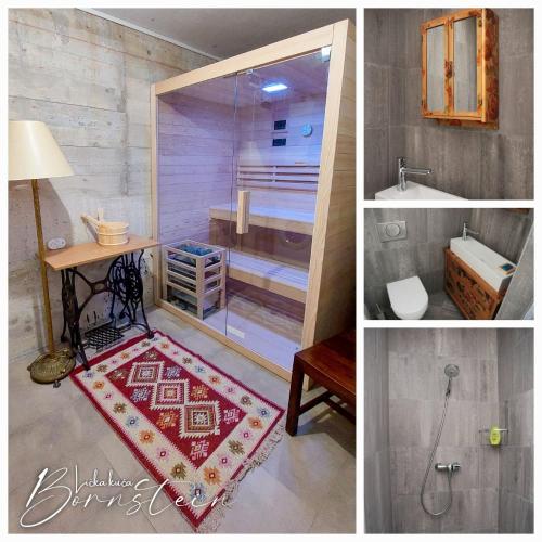 a bathroom with a shower and a red rug at Villa Bornstein in Korenica