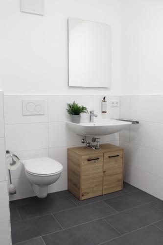 a bathroom with a toilet and a sink at greenpartment Boardinghousehotel Kelheim in Kelheim