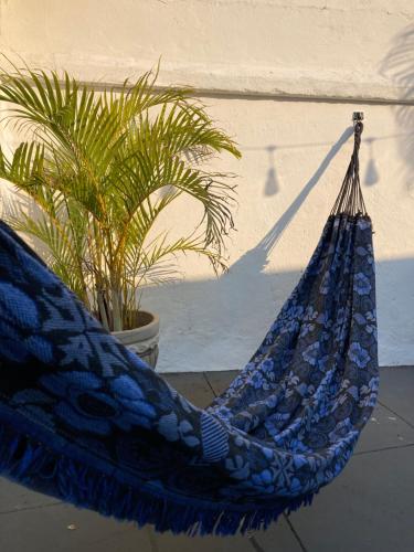 a blue hammock sitting next to a potted plant at Casa Vintage, tranquilidade no Prado in Belo Horizonte