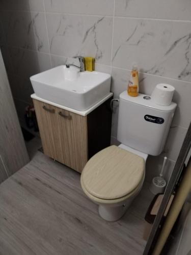 a bathroom with a toilet and a sink at VIN Studio in Kruševac