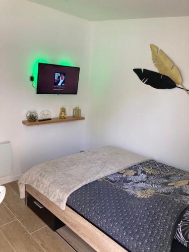 - une chambre avec un lit et une télévision murale dans l'établissement Dépendance privative et indépendante Le Cocon, à Montgeron