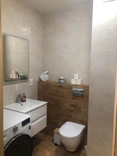 a bathroom with a toilet and a sink and a mirror at Double Rest Agat in Jastrzębia Góra
