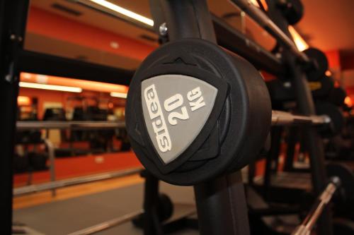 Fitness centrum a/nebo fitness zařízení v ubytování Hotel Villamadrid