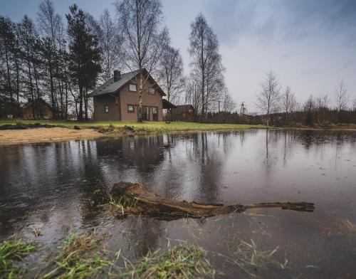 a house sitting on the shore of a lake with a log at Kaszuby wczasy u Danusi sauna i bania in Lipusz