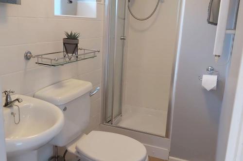 een badkamer met een douche, een toilet en een wastafel bij Y Llew Bach, the tiny house in Gwytherin