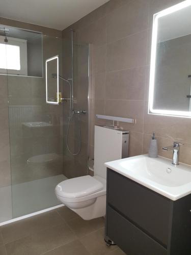 a bathroom with a toilet and a sink and a shower at Appartement Randogne avec grande terrasse in Crans-Montana