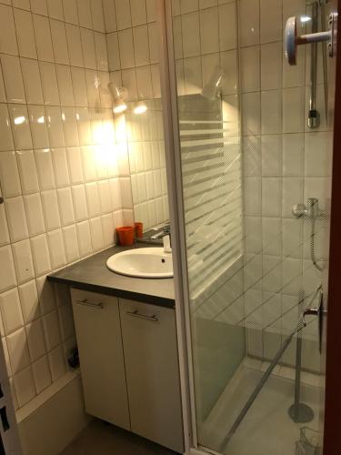 uma casa de banho com um chuveiro e um lavatório. em Mes vacances à Piau engaly em Aragnouet