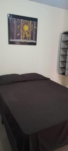 a bed in a bedroom with a picture on the wall at sweet Home alto Boquete in Tortuga