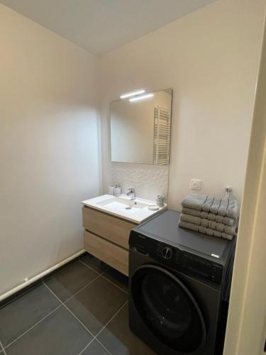 a bathroom with a washing machine and a sink at Appartement Saint ouen proche stade de france in Saint-Ouen