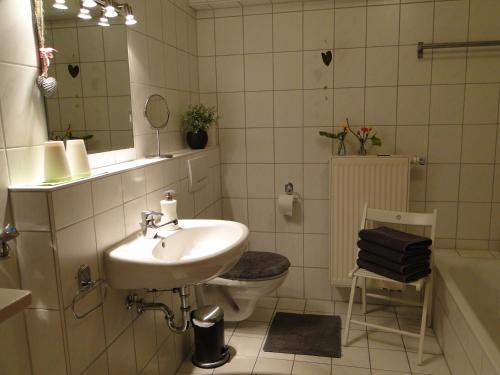 a bathroom with a sink and a toilet and a mirror at Ferienwohnung Hotte´s Hütte in Ettenheim
