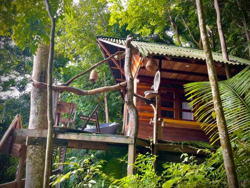 domek na drzewie w środku lasu w obiekcie TerrAmor Amazon w mieście Alter do Chao
