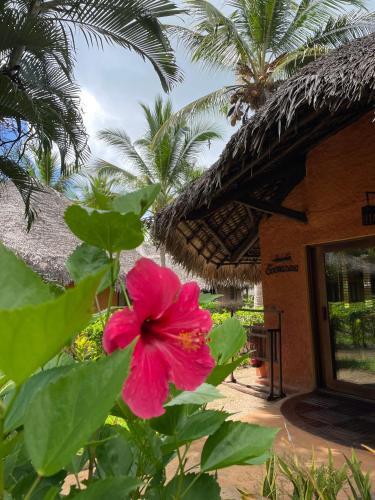 a pink flower in front of a building at Ravintsara Wellness Hotel in Ambaro