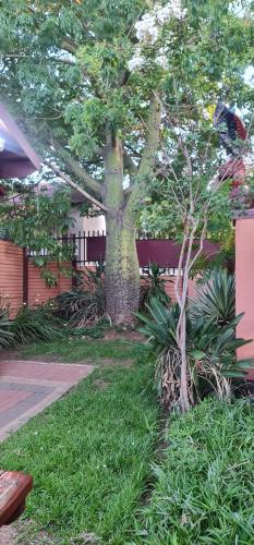 Taman di luar My House Guest House