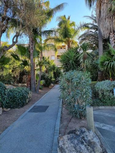 une route avec des palmiers et un bâtiment en arrière-plan dans l'établissement Appartement 2 pièces tout confort, à Saint-Raphaël