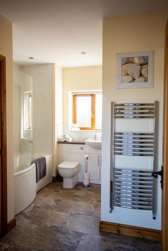 a bathroom with a toilet and a tub and a sink at Pentre Fach in Llanddewi Ystradenny