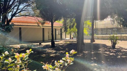 a garden with trees and a building with the sun shining at Solar da Boavista in Rebordões