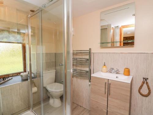 a bathroom with a shower and a toilet and a sink at Tegfan Barn in Pant-y-dwr