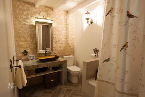 a bathroom with a sink and a toilet and a shower at Songbird Sanctuary in Civray-de-Touraine