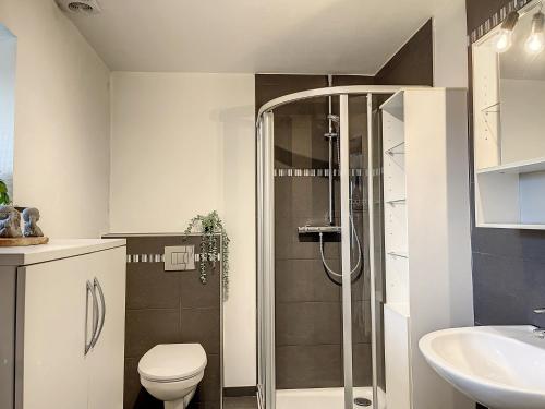 ビューリンゲンにあるEiflia- Im Warchetalのバスルーム(シャワー、トイレ、シンク付)
