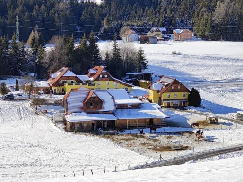 an aerial view of a village in the snow at Hotel Gasthof Seeblick in Zeutschach