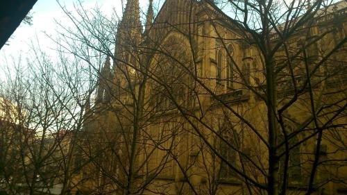 an old building with a tower and a tree at Hostal San Ignacio Centro in Donostia-San Sebastián