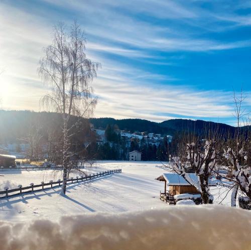 un campo innevato con un edificio e alberi di Appartamento a Costa di Folgaria a Folgaria