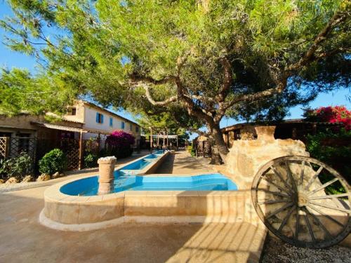 a small pool with a tree and a wheel in front of it at Finca Sa Canova Agroturismo in Campos