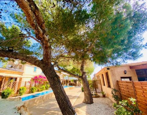 a group of trees in front of a house at Finca Sa Canova Agroturismo in Campos