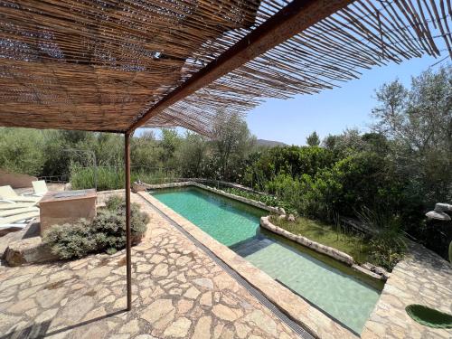 a swimming pool with a wooden umbrella and a swimming poolvisor at Son Vell. Mallorca. Casa amb piscina ecològica. in Manacor