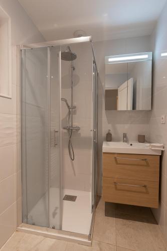 a bathroom with a shower and a sink at La Cascade in Mâcon