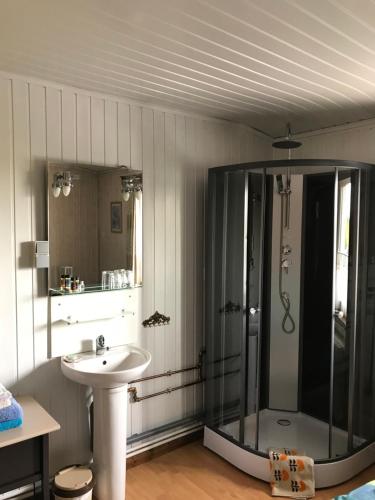 a bathroom with a shower and a sink at Beau-sejour in Francorchamps