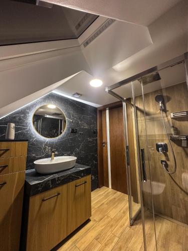 a bathroom with a sink and a shower at Apartament Orły air conditioning in Orły