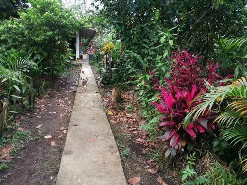 Billede fra billedgalleriet på Agradable granja cerca a un río de agua fresca. i Archidona