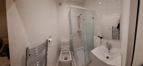 a white bathroom with a toilet and a sink at Lovely and Modern Groundfloor 1 Single Bedroom Condo with Netflix, Tea/Coffee/Biscuits in Bristol