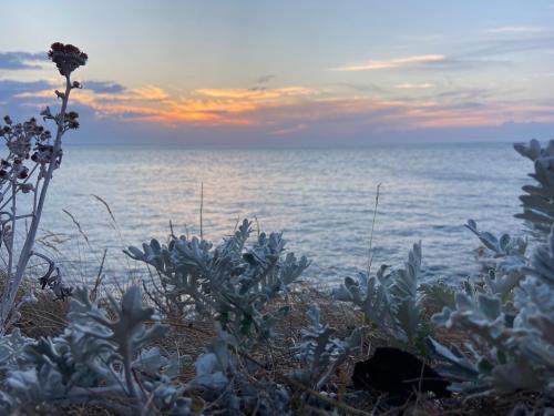 Φυσικό τοπίο κοντά σε αυτή η παραθεριστική κατοικία