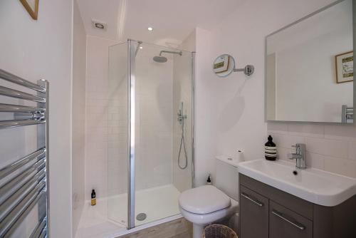 a bathroom with a shower and a toilet and a sink at Hall Cottage Woodbridge Air Manage Suffolk in Woodbridge