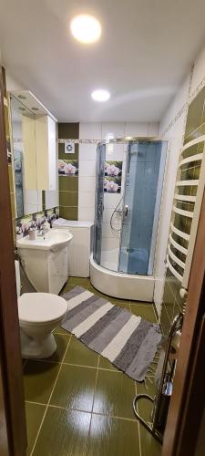 a bathroom with a toilet and a sink and a shower at Apartamentai pas Danutę in Prienai