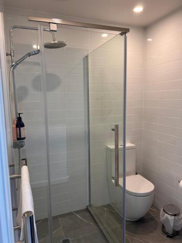 a bathroom with a toilet and a glass shower at Stylish 2 bedrooms townhouse in central Wellington in Wellington