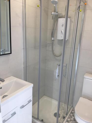 a bathroom with a shower and a toilet and a sink at Lavender Mews in Tuam