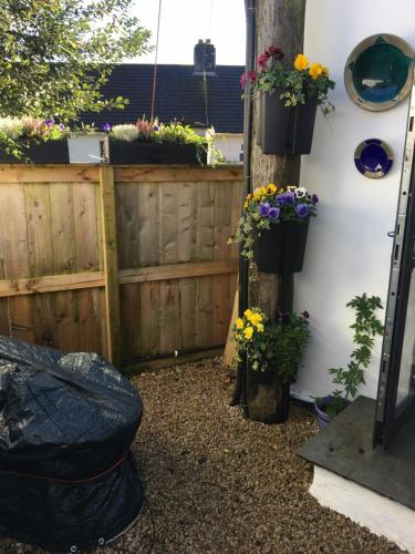 a garden with potted plants on a fence at Lavender Mews in Tuam