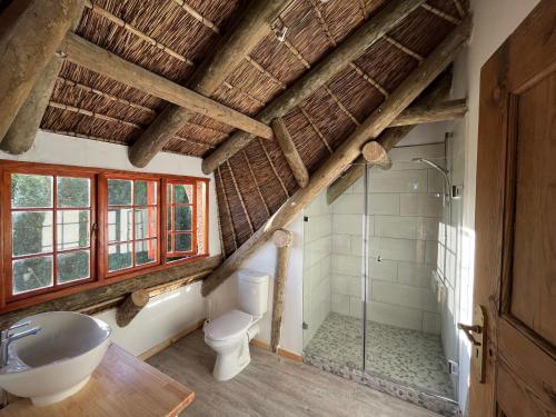 an attic bathroom with a toilet and a sink at Acara Guest Cottages in Stellenbosch