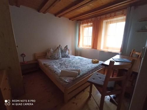 a bedroom with a bed and a desk and a chair at Penzion Avalanche in Železná Ruda