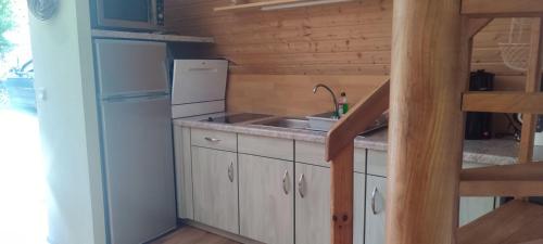 a small kitchen with a sink and a refrigerator at Ferienhaus-Zum-Eichkater-am-Duemmer-See 