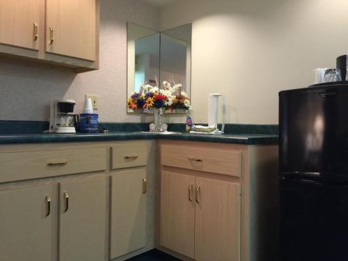 Dapur atau dapur kecil di Americas Best Value Inn & Suites - Bluffton
