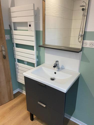 une salle de bain avec un lavabo et un miroir dans l'établissement Gîtes 6A et 6B, à Bailleul-Sir-Berthoult