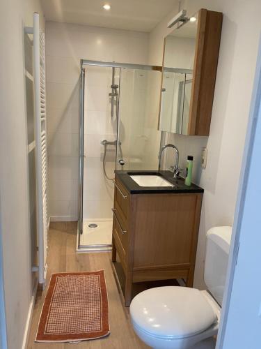 ein Bad mit einem WC, einem Waschbecken und einer Dusche in der Unterkunft House between Antwerp and Brussels in Rumst