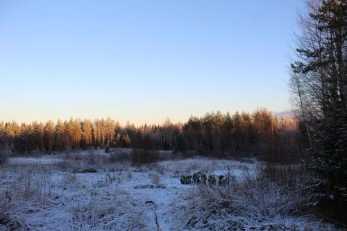 un champ enneigé avec des arbres en arrière-plan dans l'établissement Viisi Leipää, 