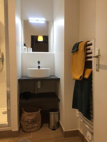 une salle de bain avec un lavabo et un miroir dans l'établissement Appartement en cœur de ville, à Angers