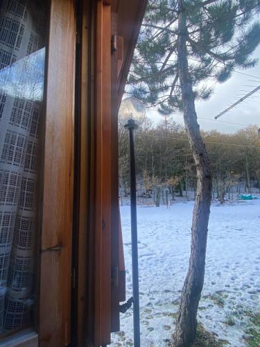 a window of a house with a tree in the snow at B&B Snow Village Roccaraso in Roccaraso