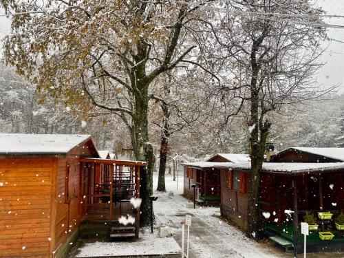 un grupo de cabañas en un patio cubierto de nieve en B&B Snow Village Roccaraso, en Roccaraso
